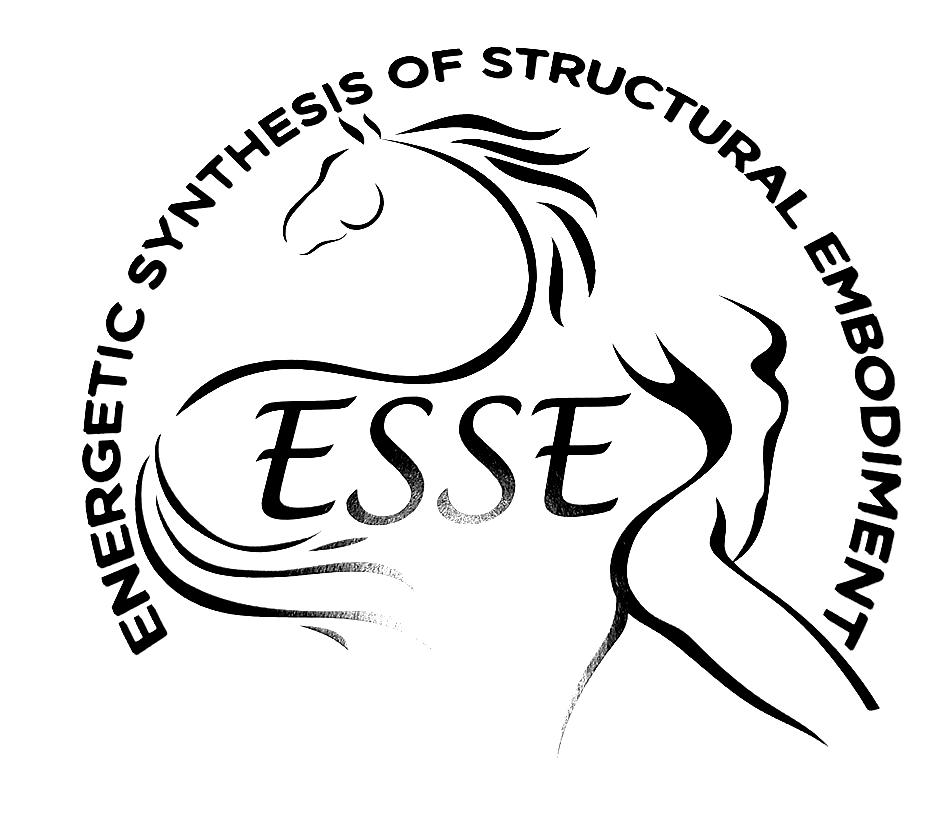 הלוגו של ESSE, Energetic Synthesis of Structural Embodiment